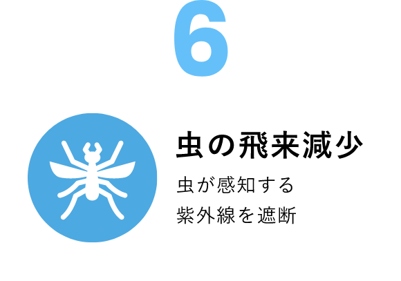 虫の飛来減少
